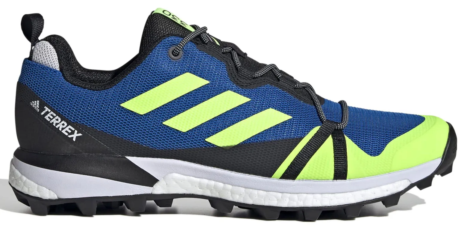 adidas Performance Terrex SkyChaser LT