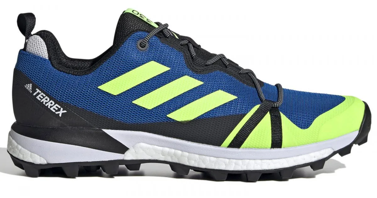 adidas Performance Terrex SkyChaser LT