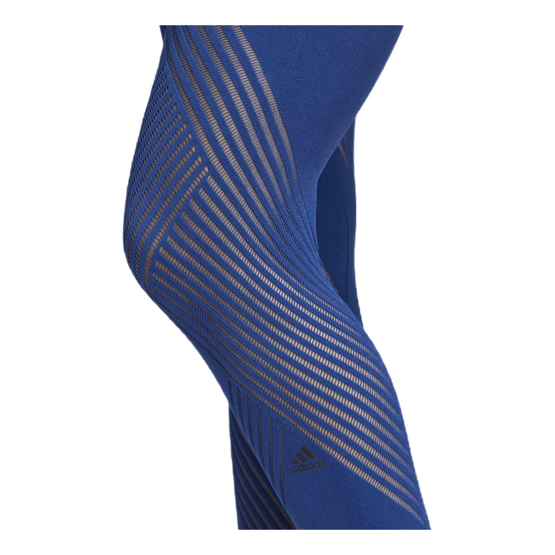 Adidas Warpknit High Rise Blue