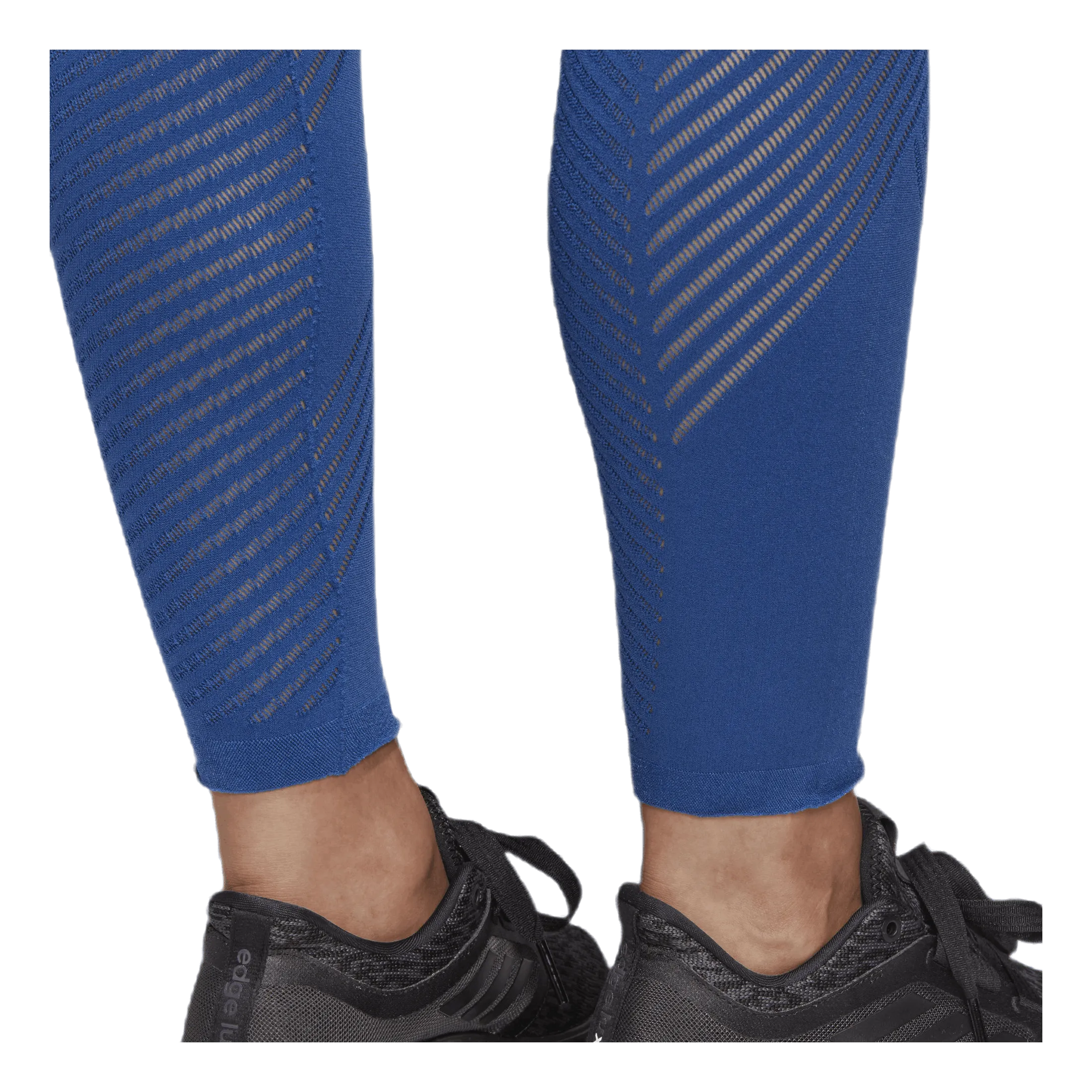 Adidas Warpknit High Rise Blue