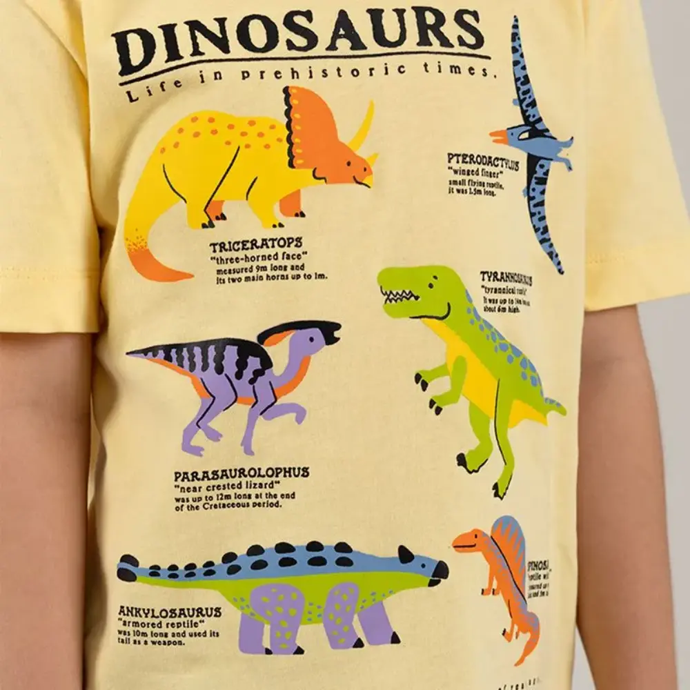 Camisa manga corta