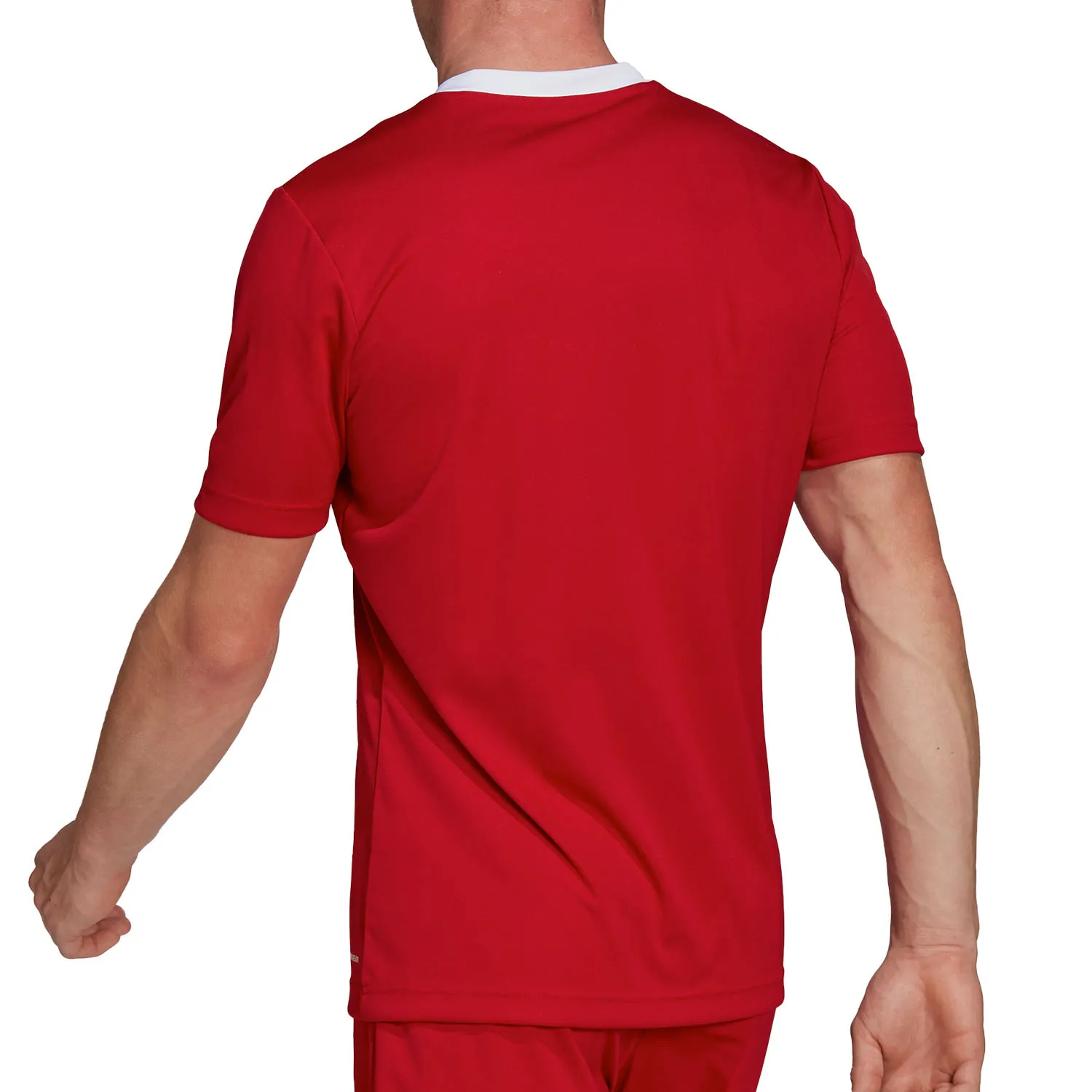 Camiseta adidas Entrada 22