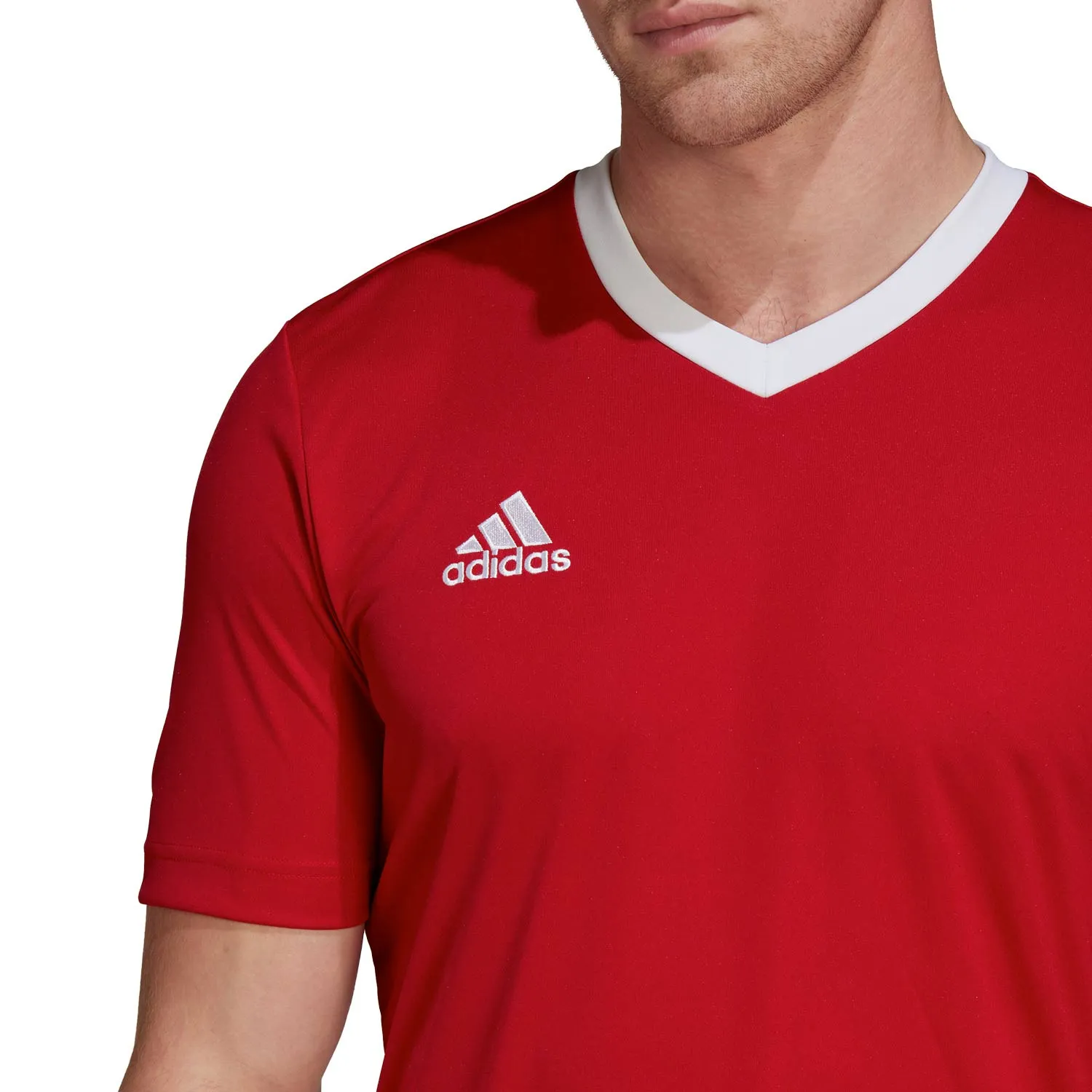 Camiseta adidas Entrada 22