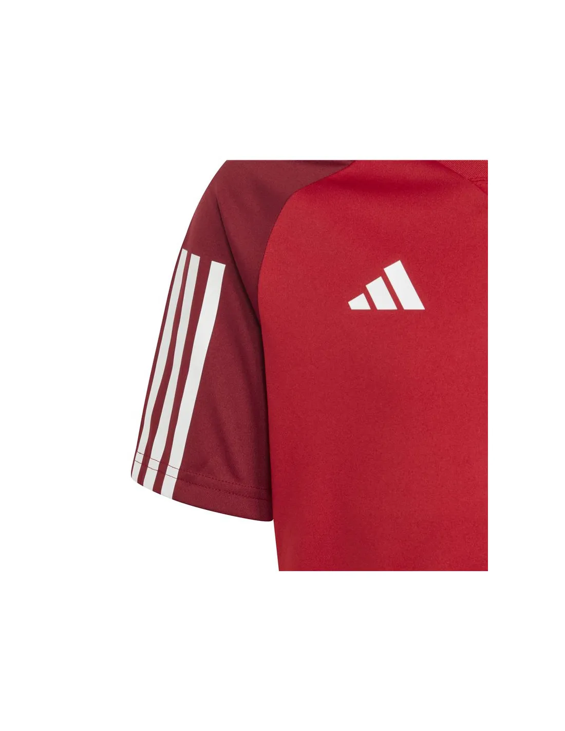 Camiseta de Fútbol adidasBenfica Infantil