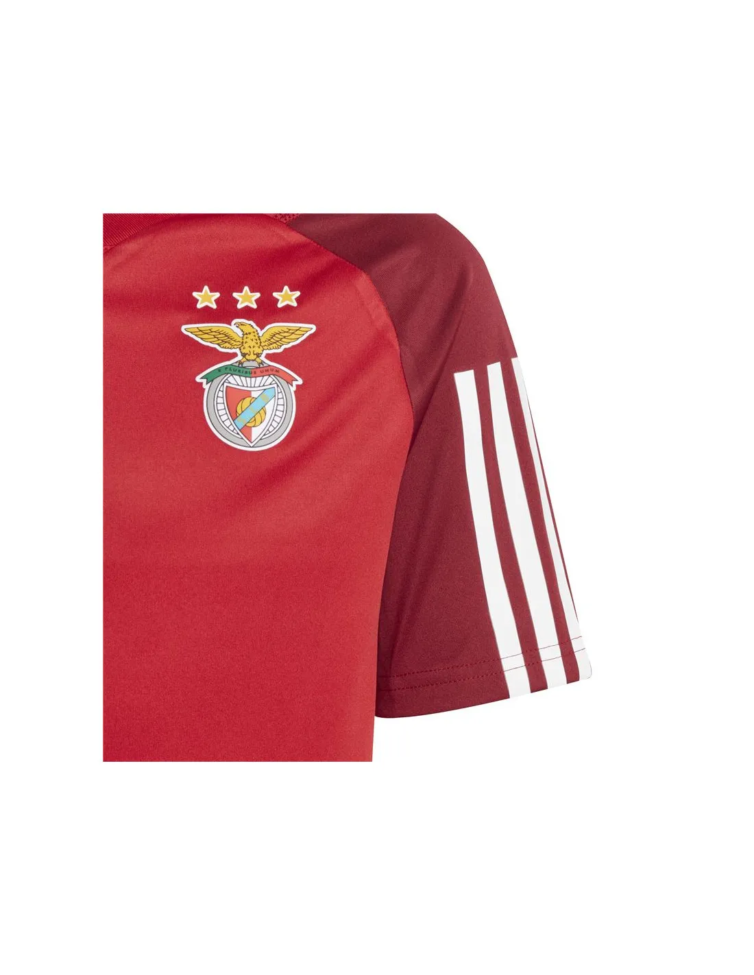 Camiseta de Fútbol adidasBenfica Infantil