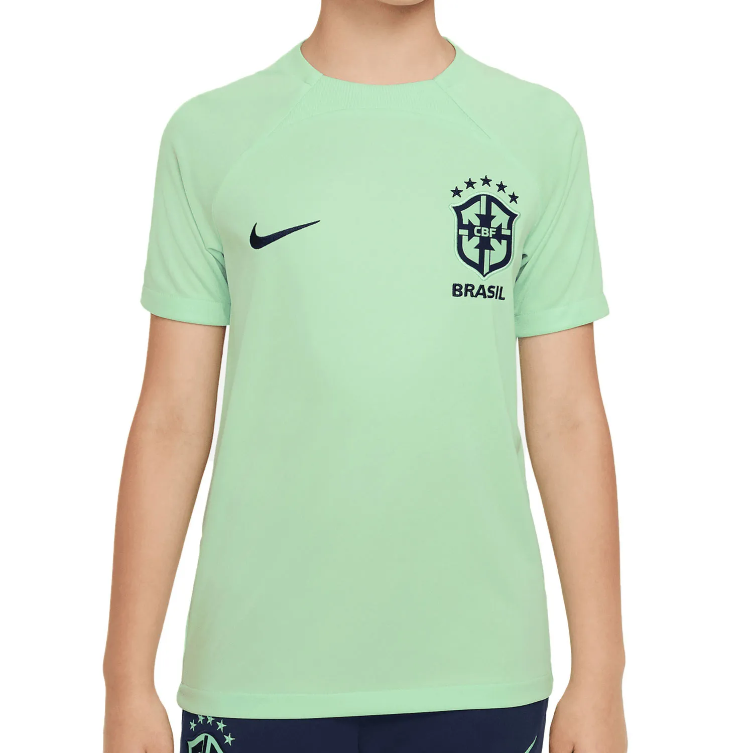 CAMISETA NIKE BRASIL NIñO ENTRENO DRIFIT ACADEMY PRO