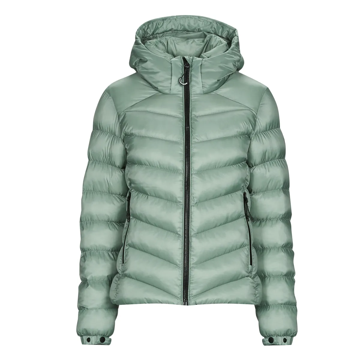 HOODED FUJI PADDED JACKET