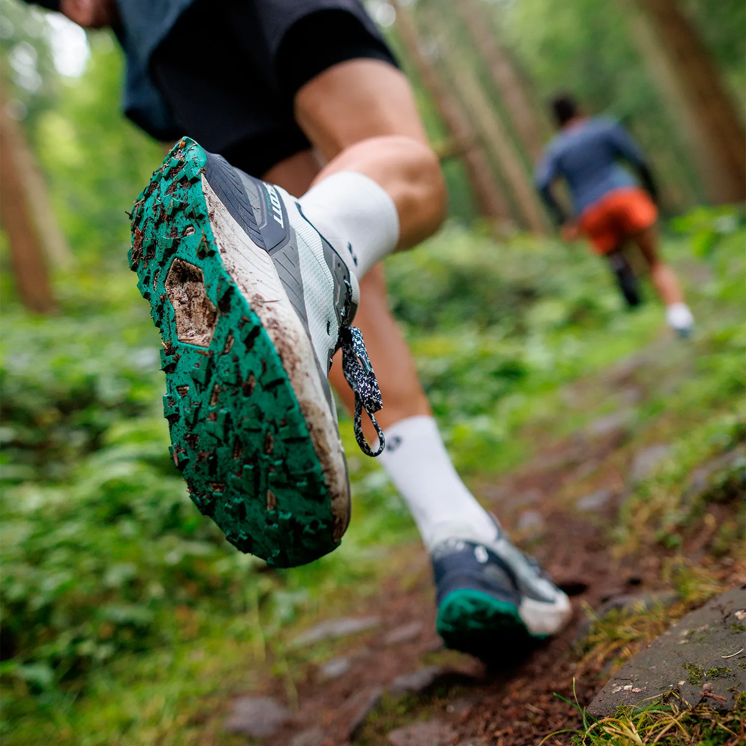 Scott Kinabalu 3
