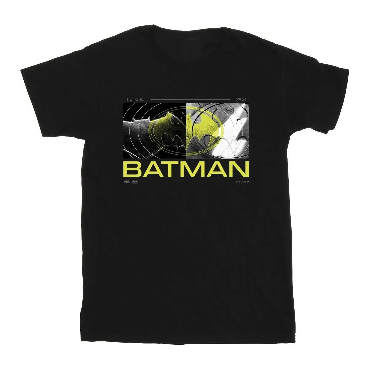 The Flash Batman Future To Past