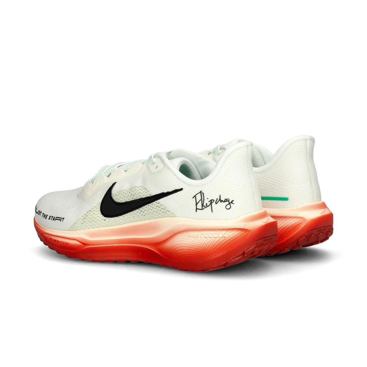 Zapatilla Nike Air Zoom Pegasus 41 Eliud Kipchoge